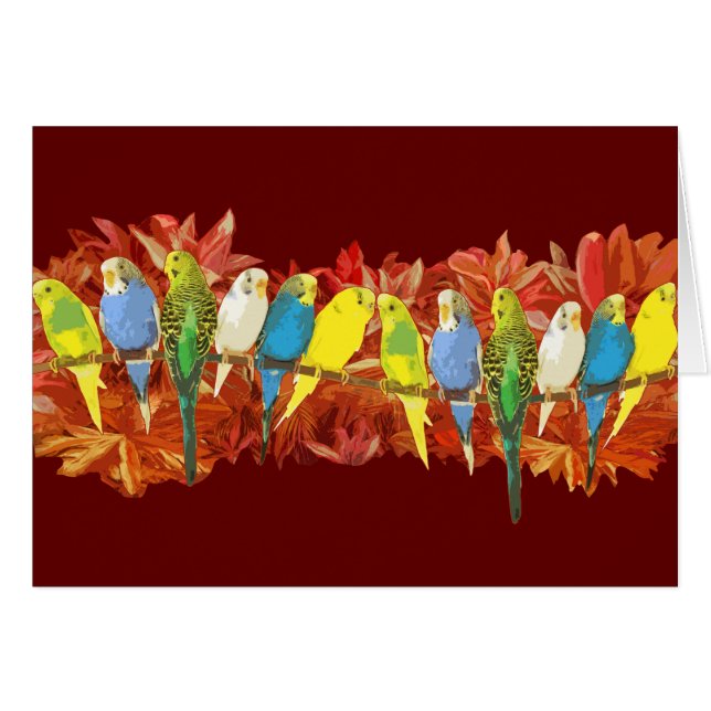 Colourful budgies pattern (Front Horizontal)