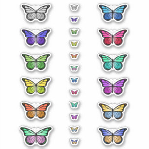 Colourful Butterflies