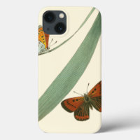 Colourful Butterflies Fluttering Around a Leaf