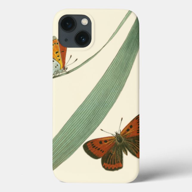 Colourful Butterflies Fluttering Around a Leaf Case-Mate iPhone Case (Back)