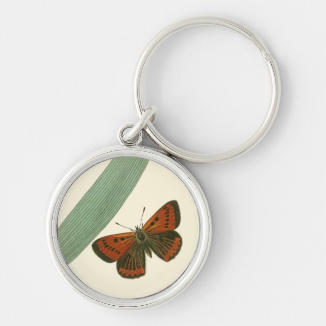 Colourful Butterflies Fluttering Around a Leaf Key Ring (Front)