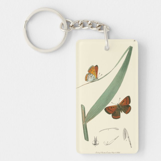 Colourful Butterflies Fluttering Around a Leaf Key Ring (Front)