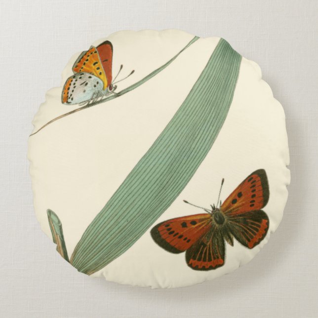 Colourful Butterflies Fluttering Around a Leaf Round Cushion (Front)