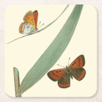 Colourful Butterflies Fluttering Around a Leaf