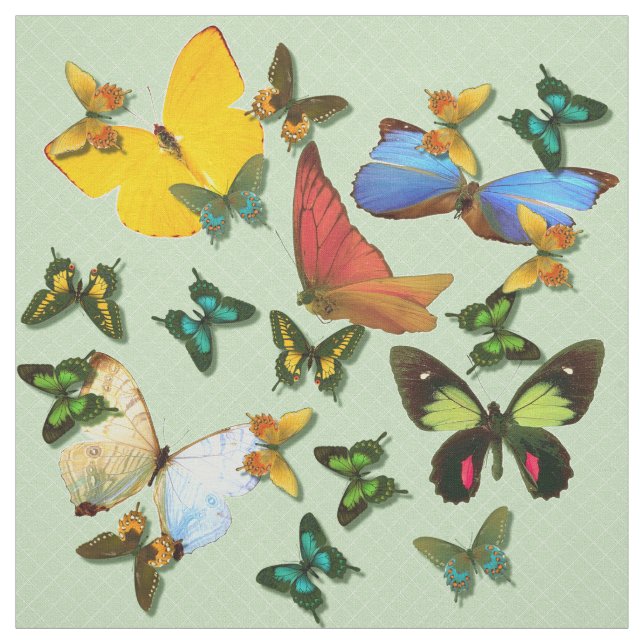 Colourful Butterflies Green Background Pattern Fabric (Swatch)