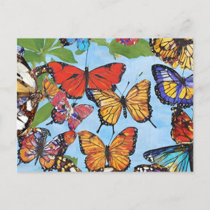 Colourful Butterflies Postcard