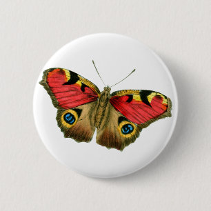 Colourful butterfly 6 cm round badge
