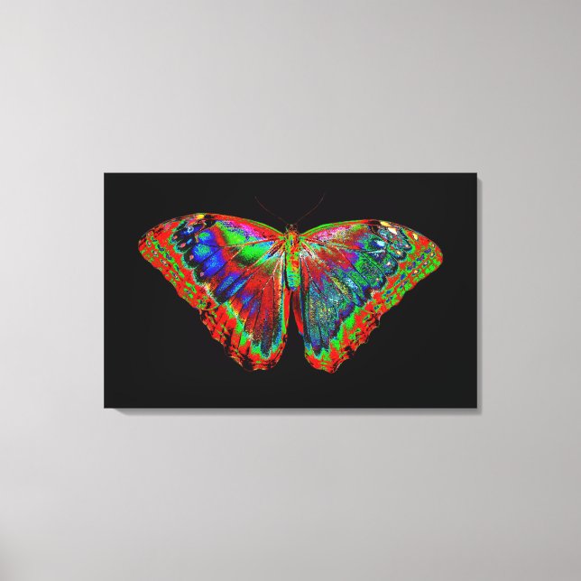 Colourful Butterfly design against black backdrop Canvas Print (Front)