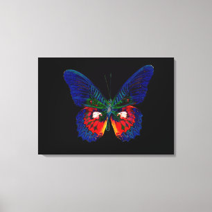 Colourful Butterfly design against black backdrop Canvas Print