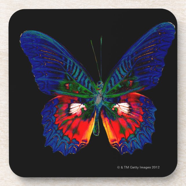 Colourful Butterfly design against black backdrop Coaster (Front)