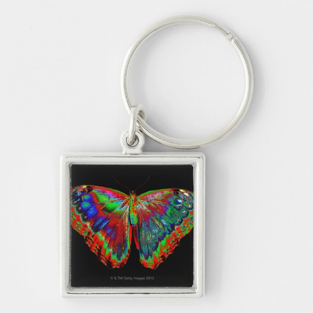 Colourful Butterfly design against black backdrop Key Ring (Front)