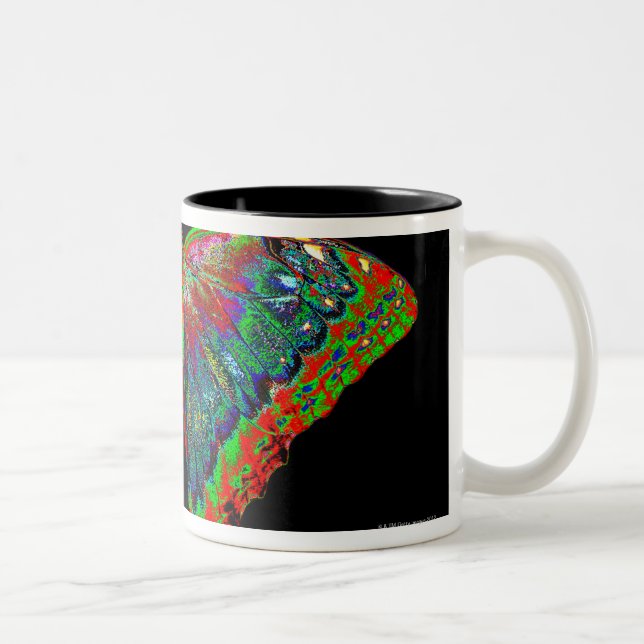 Colourful Butterfly design against black backdrop Two-Tone Coffee Mug (Right)