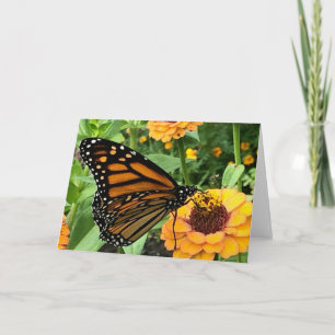 Colourful Butterfly Greeting Card