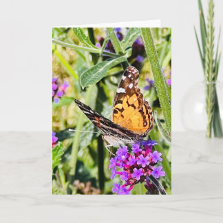 Colourful Butterfly Greeting  Card