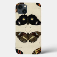 Colourful Butterfly Medley on Cream Background