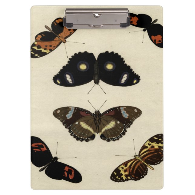 Colourful Butterfly Medley on Cream Background Clipboard (Front)