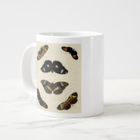 Colourful Butterfly Medley on Cream Background