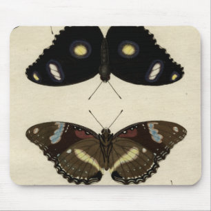 Colourful Butterfly Medley on Cream Background Mouse Pad