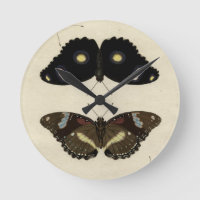 Colourful Butterfly Medley on Cream Background
