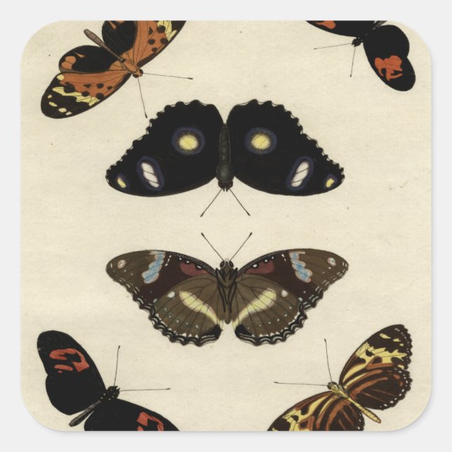 Colourful Butterfly Medley on Cream Background Square Sticker (Front)