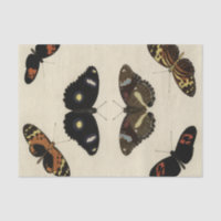 Colourful Butterfly Medley on Cream Background