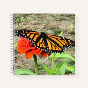 Colourful Butterfly Notebook
