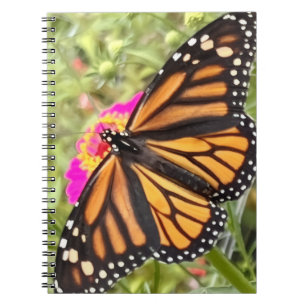 Colourful Butterfly Notebook
