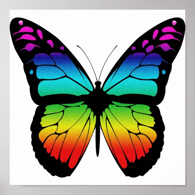 Colourful Butterfly Poster (Front)