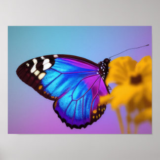 Colourful butterfly poster