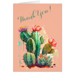 Colourful Cactus Blooms