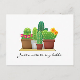 Colourful Cactus Garden / Hello Postcard