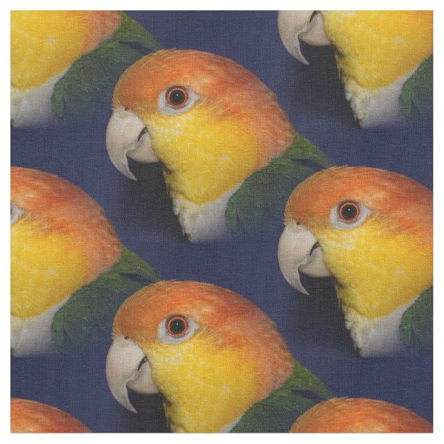 Colourful Caique Parrot Fabric (Close Up)
