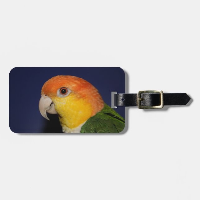 Colourful Caique Parrot Luggage Tag (Front Horizontal)