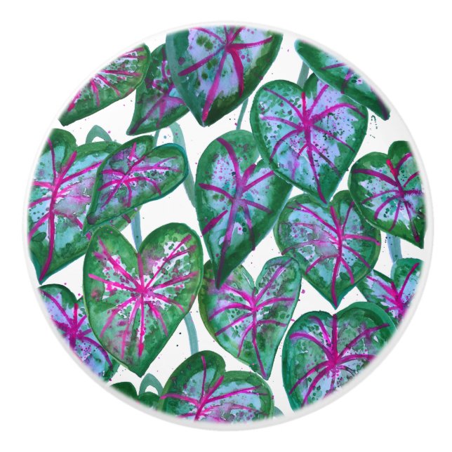 Colourful Caladiums Watercolor Art Pink Green Ceramic Knob (Front)