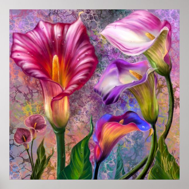 Colourful Calla Lilies Poster (Front)