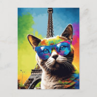 Colourful Cat in Paris