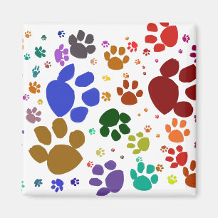 colourful cat paws magnet