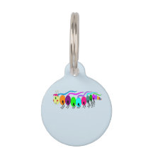 Colourful Caterpillar