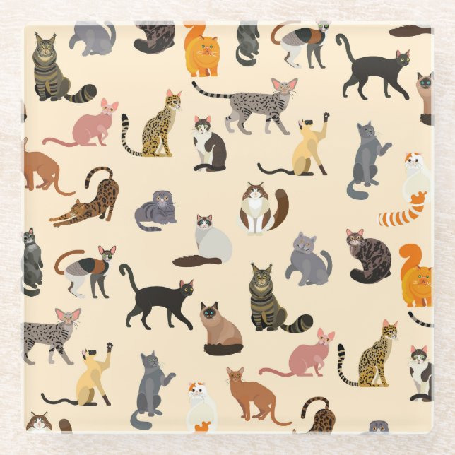 Colourful Cats: Different Breeds Pattern Glass Coaster (Front)