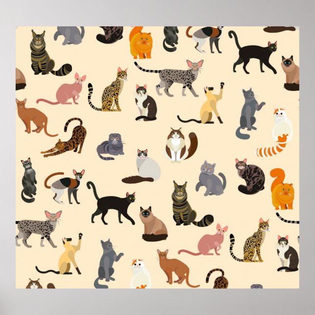 Colourful Cats: Different Breeds Pattern Poster (Front)