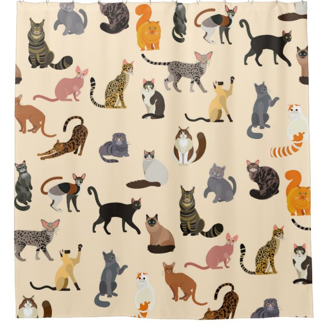 Colourful Cats: Different Breeds Pattern Shower Curtain (Front)