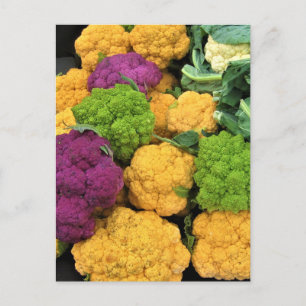 Colourful Cauliflower, Autumn Decor Postcard