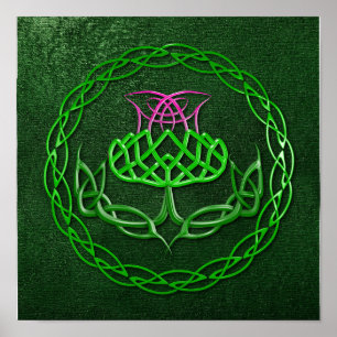 Colourful Celtic Knot Thistle Poster