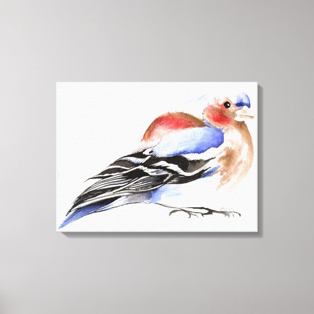 Colourful Chaffinch 2011 Canvas Print (Front)