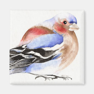 Colourful Chaffinch 2011 Magnet