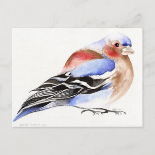 Colourful Chaffinch 2011 Postcard
