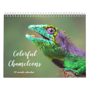 Colourful Chameleons 2027 Calendar