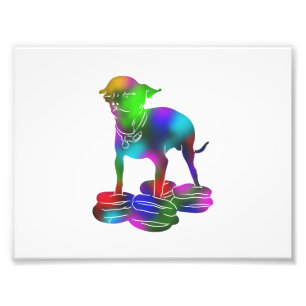 Colourful Chihuahua hamburger flying Photo Print