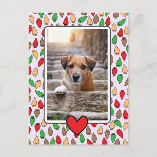 Colourful Christmas Lights Dog Postcard