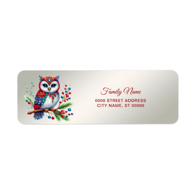 Colourful Christmas Owl Return Address (Front)